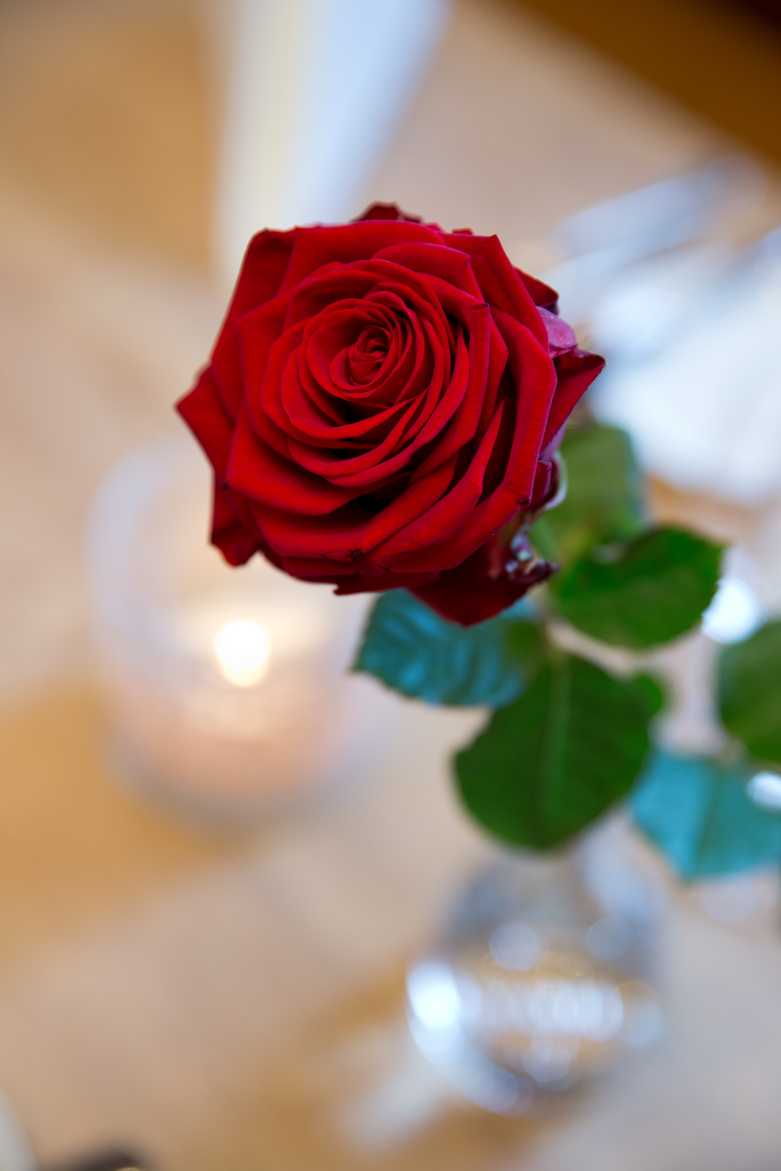 Restaurant Babenwohl, Detail, Stadthotel Schwärzler