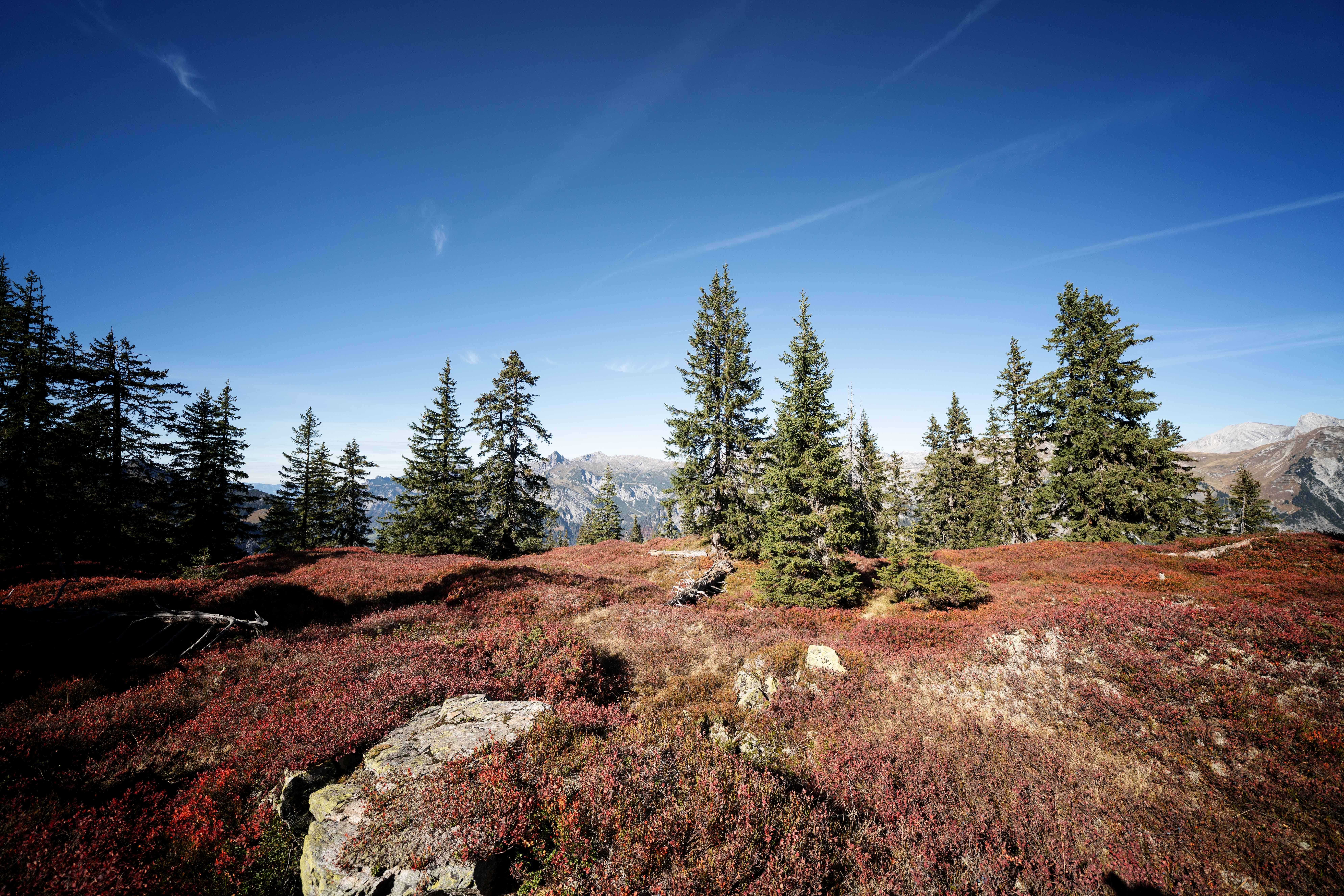 Herbst zwischen Berg, See und Stadt