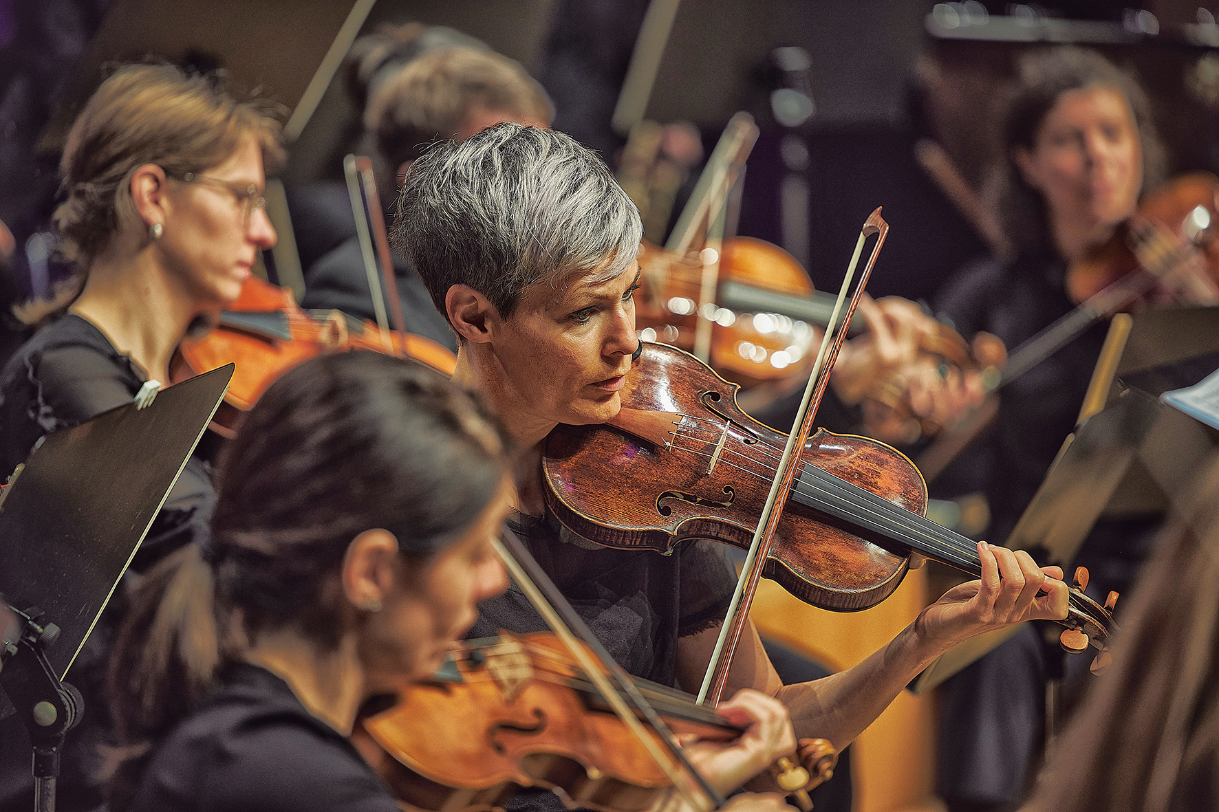 Concerto Stella Matutina